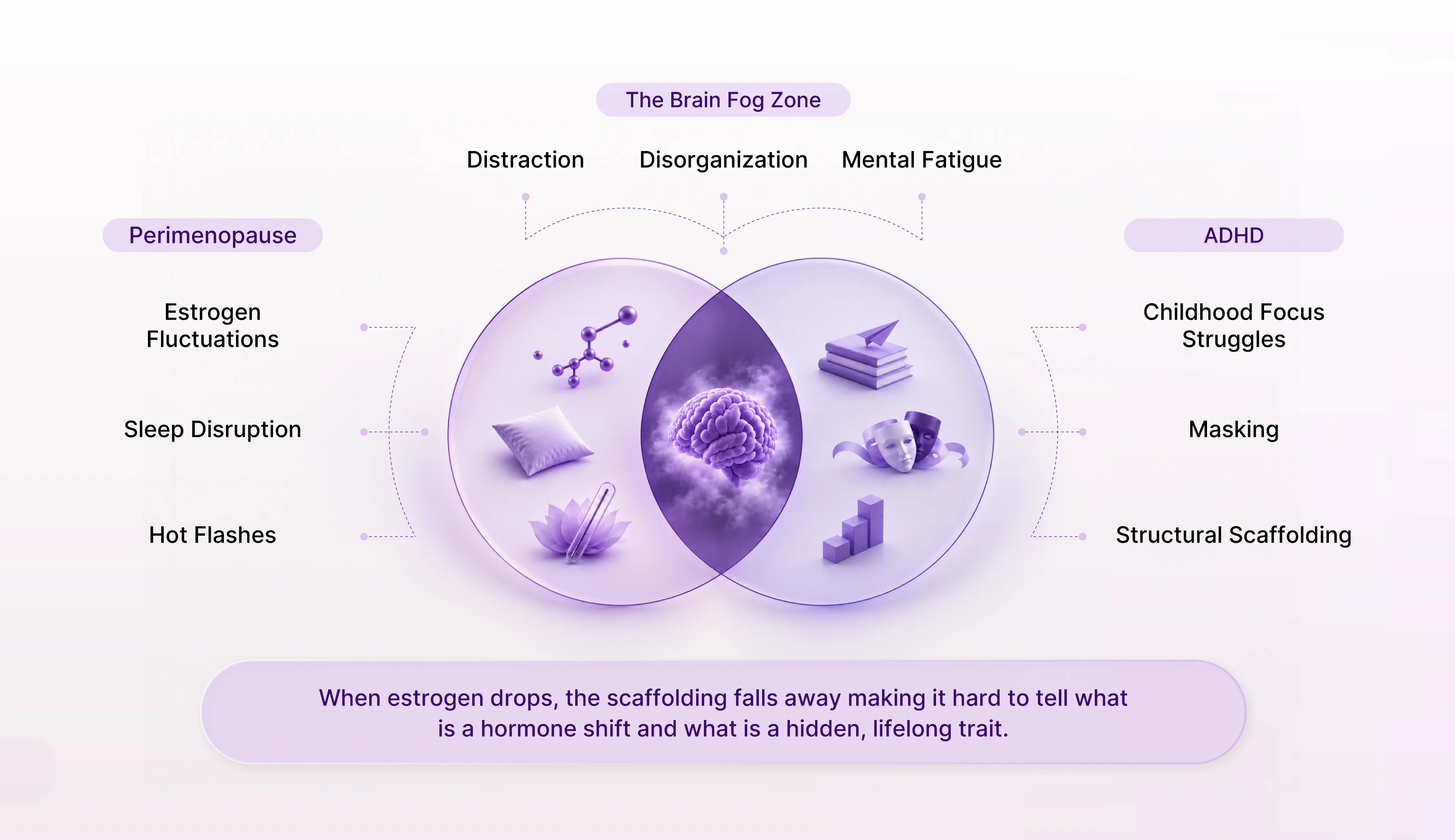 The brain fog zone: perimenopause and ADHD overlap in distraction, disorganization, and mental fatigue